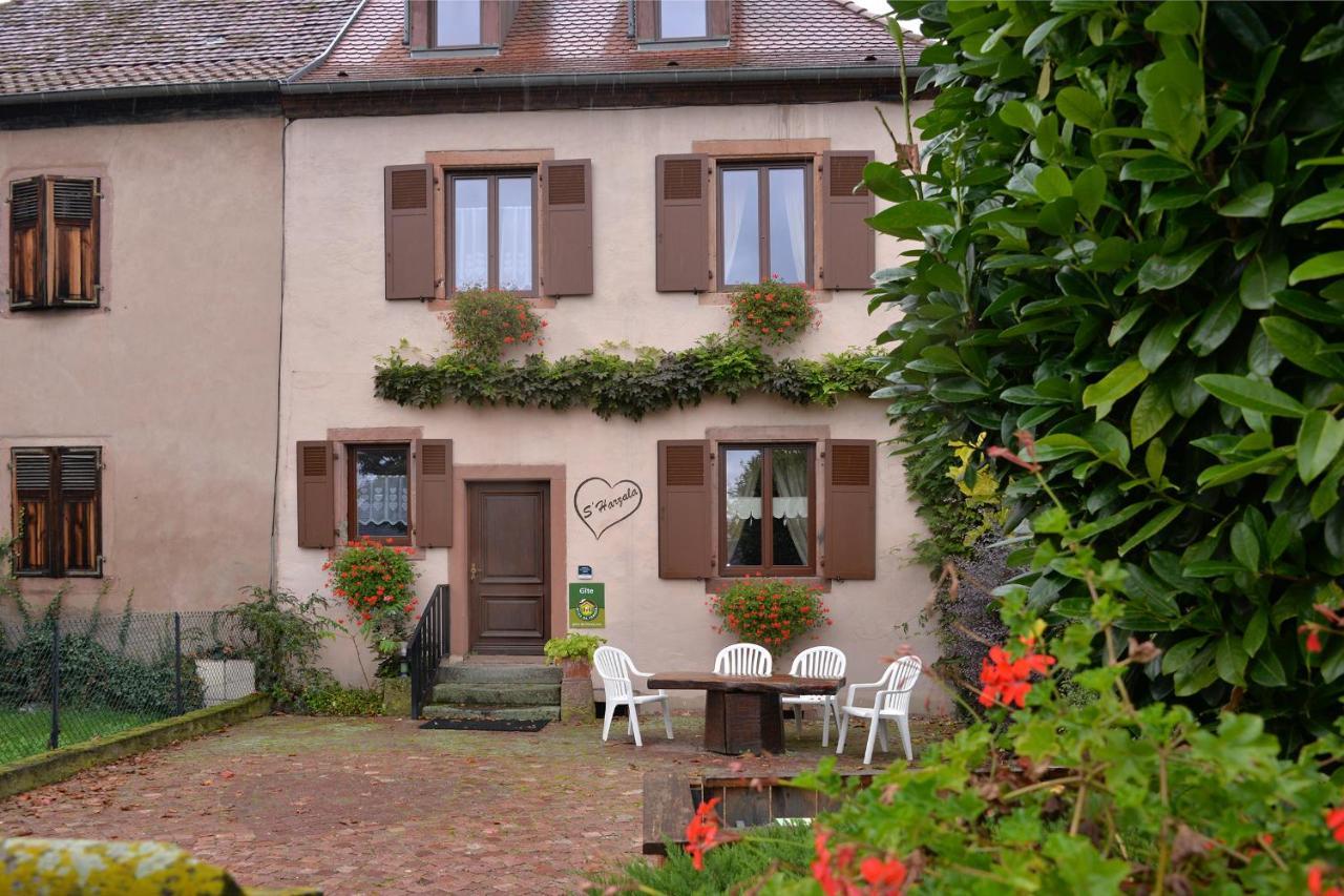 S'Harzala Rouge Apartment Bergheim Luaran gambar